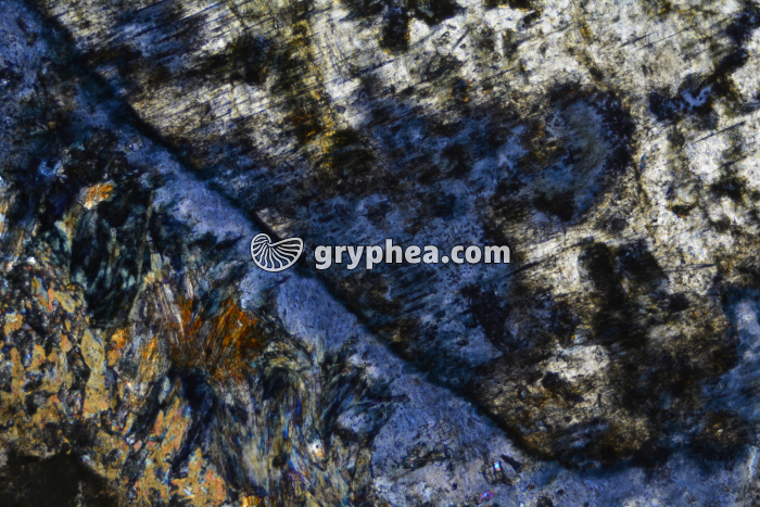 Glaucophane LPA x25 - gryphea.com